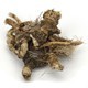 Osha Root