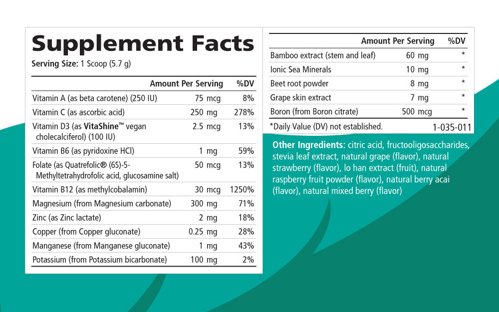 Supplement Facts - Ionic-Fizz Magnesium Plus Mixed Berry