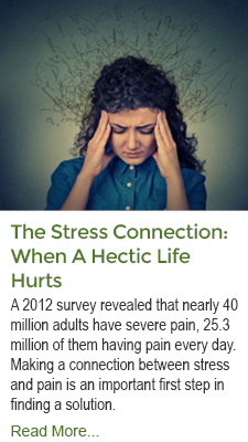 The Stress Connection - When A Hectic Life Hurts