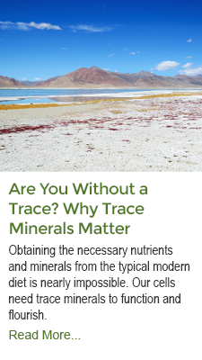 Are You Without A Trace - Why Trace Minerals Matter