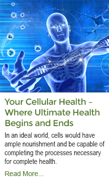 Your Cellular Health - Where Ultimate Health Begins
