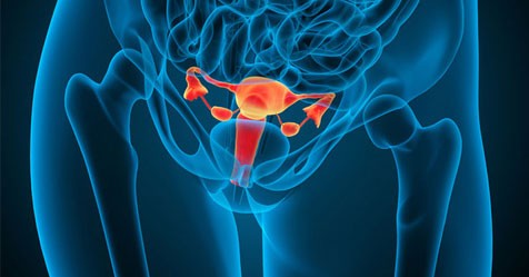 Fibroid Tumor Support - Energetic Nutrition